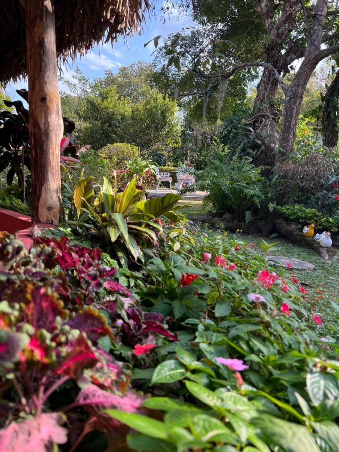 לינה וארוחת בוקר El Valle de Anton Casa Grimaldo מראה חיצוני תמונה
